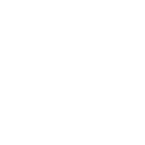 My Store